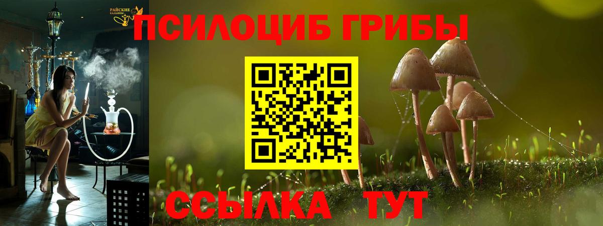 Муравленко  Псилоцибиновые грибы GOLDEN TEACHER  купить наркотик  Вход с VPN 